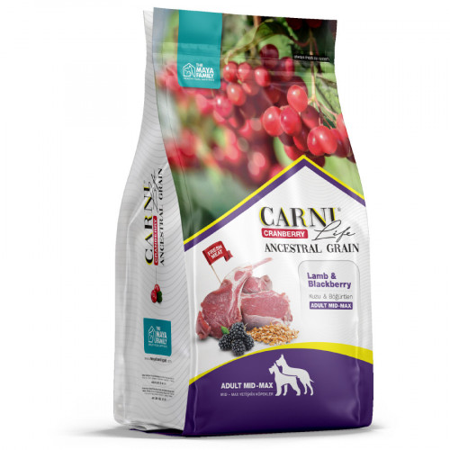 Carni Life Medium Maxi полнорационный сухой корм для собак средних и крупных пород, низкозерновой, с ягненком, ежевикой и клюквой