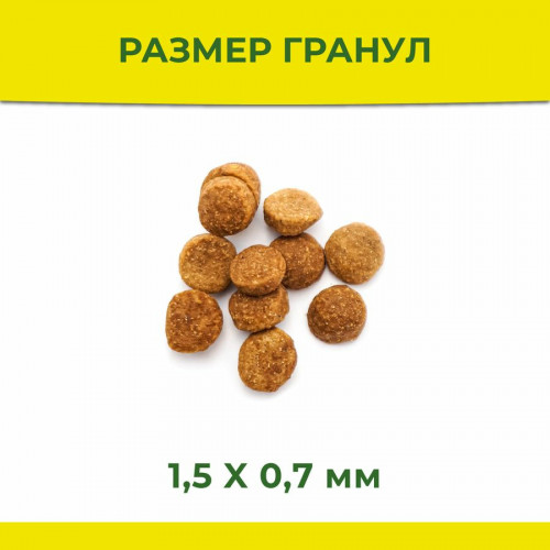 Statera сухой корм с курицей для взрослых собак всех пород