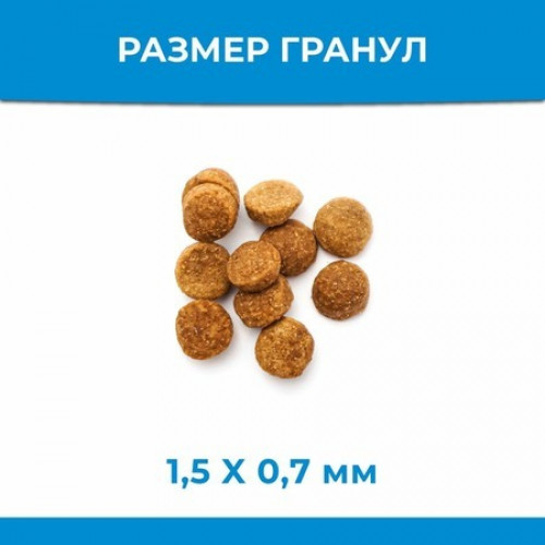 Statera cухой корм для взрослых собак всех пород с лососем