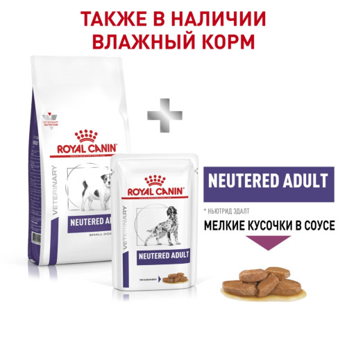 Royal Canin Neutered Adult Small Dog сухой корм для взрослых кастрированных собак мелких пород - 3,5 кг