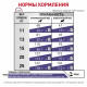 Royal Canin Neutered Adult Small Dog сухой корм для взрослых кастрированных собак мелких пород - 3,5 кг